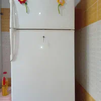 یخچال فریزردوواصل ۳۶۰۰۰۰۰۰میلیون تومان