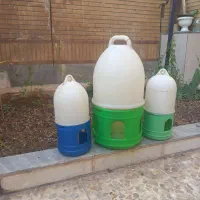 آبی خوری،مرغ کبوتر جوجه خروس