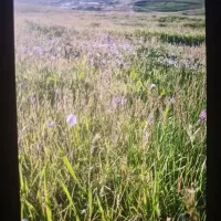 فروش زمین زراعی