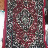 پادری ریزه ماهی