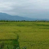 رهن و اجاره۹۰متری مستقل در مطهری آسایشگاه سالمندان|اجارهٔ آپارتمان|لاهیجان, بازکیاگوراب|دیوار