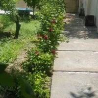 ۶۰۰ متر زمین شهرک کیور