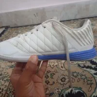 کفش لونارگتو اورجینال