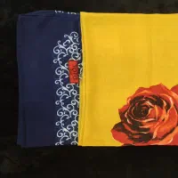 لباس های نو نو|لباس|شاهینشهر, بوستان حافظ|دیوار