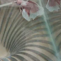 ماهی فایتر فقط ۵۰