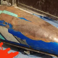 باک موتور هندا