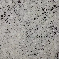 برنج مرغوب واعلاء هاشمی گیلان|خوردنی و آشامیدنی|تهران, جیحون|دیوار