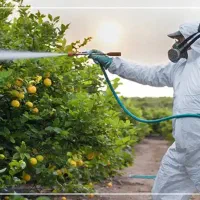 سم پاشی باغ و شهرک و منازل پذیرفته میشود