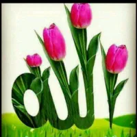 جا رخت خواب