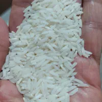 برنج طارم هاشمی اعلا و خالص