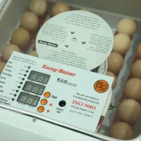 جوجه کشی 48 عددی +اینورتر|لوازم جانبی حیوانات|کرمان, |دیوار