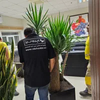 فروش فلاورباکس فایبرگلاس - گلدان فایبرگلاس|گل و گیاه طبیعی|تهران, نارمک|دیوار