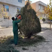 خدمات فضای سبز