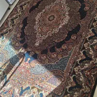 فرش ۶ متری در حد نو|فرش|کنگاور, |دیوار