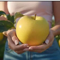 نهال گیلاس گردوسیب بادام گلابی هلو آرش