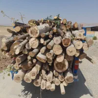 خرید برش انواع چوب