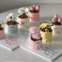 سفارش کیک تولد عقد عروسی کیک های کافی شاپ و...|خدمات پذیرایی، مراسم|رودان, |دیوار