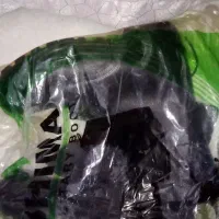 پوتین حلقه دار|کیف، کفش، کمربند|بیرجند, |دیوار