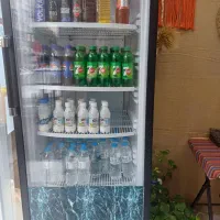 یخچال ویترینی آلبروس در حد نو