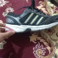 کتونی سفارش ویتنام ادیداس  اکومنت سایز ۳۹|کیف، کفش، کمربند|قرچک, شهرک طلائیه|دیوار