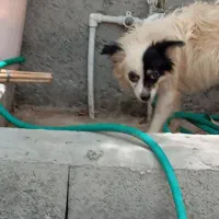 فروش