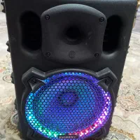 باند ۳۰۰ واتی فلش خور فول امکانات سالم در حد