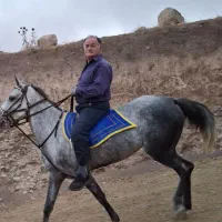 اسب مادیان کرد