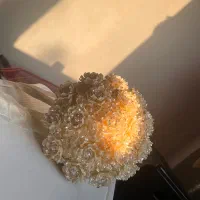 دست گل نامزدی