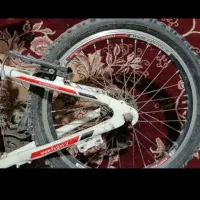 دوچرخه 20فلش|دوچرخه، اسکیت، اسکوتر|شهرکرد, |دیوار