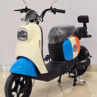 موتور سیکلت برقی اسکوتر برقی SAFARI