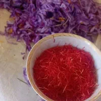 بهترین زعفران مشهد با عیار بالا