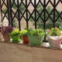 آپارتمان ۲ خواب تک واحدی