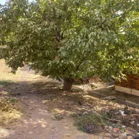 زمین ۱۴۸ متری فشند