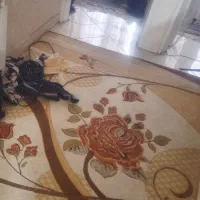 گلیم فرش ۶ متری و ۴ متری با طرح یکجور