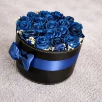 باکس مینی گل