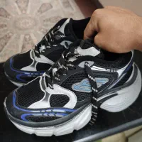 کفش balenciaga