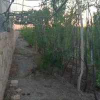 باغ در بافت روستای خسروجرد|فروش زمین و ملک کلنگی|سبزوار, خسروجرد|دیوار