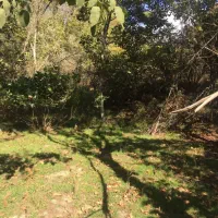 باغ|فروش زمین و ملک کلنگی|طارم (زنجان), |دیوار