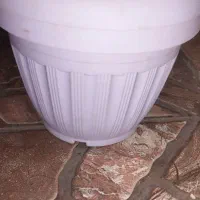 گلدان تازه  و کار کرده