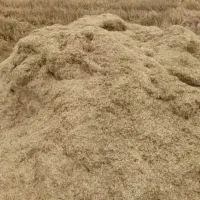 فروش کاه گندم درجه یک