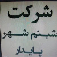 جذب نیروی it(دستیارفنی)