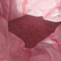 گندم پیشگام|عمدهفروشی|کرمانشاه, |دیوار