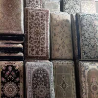 تولیدکننده پوش تی|پشتی|قم, چهل درخت‎|دیوار