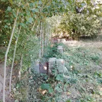 باغ فروشی|فروش دفتر صنعتی، کشاورزی، تجاری|فیرورق, |دیوار