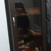 کتابخانه،کمد