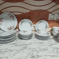 گل سرخ چینی