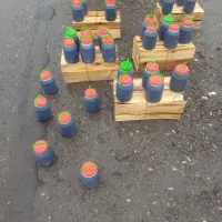 شیره انگور دیمی سردشت|عمده‌فروشی|رامسر, |دیوار