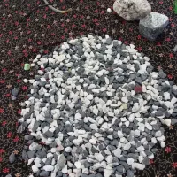 لوازم اکواریم|ماهی|نیشابور, خط کاشمر|دیوار