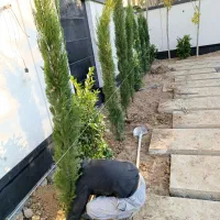 طراحی واجرا فضای سبز گلستان ونهالستان نسترن