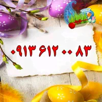 0913.4.19.29.39|سیم‌کارت|اصفهان, تیران|دیوار